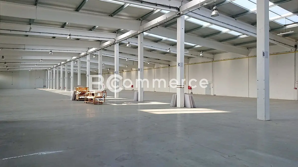 Pronájem komerčního prostoru 2400 m², Kuřim · okres Brno-venkov