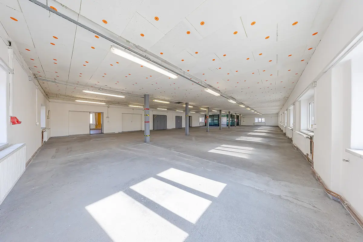 Pronájem komerčního prostoru 391 m², Bojkovice · okres Uherské Hradiště
