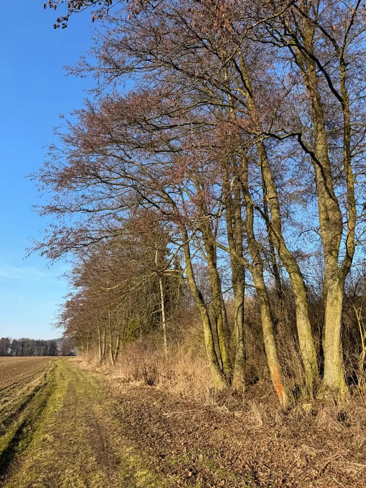 Prodej pozemku 466 m², Nový Malín - Chvalkovice