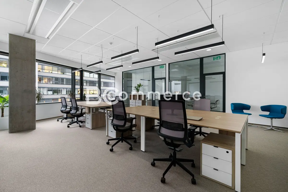 Pronájem komerčního prostoru 310 m², Brno - Staré Brno