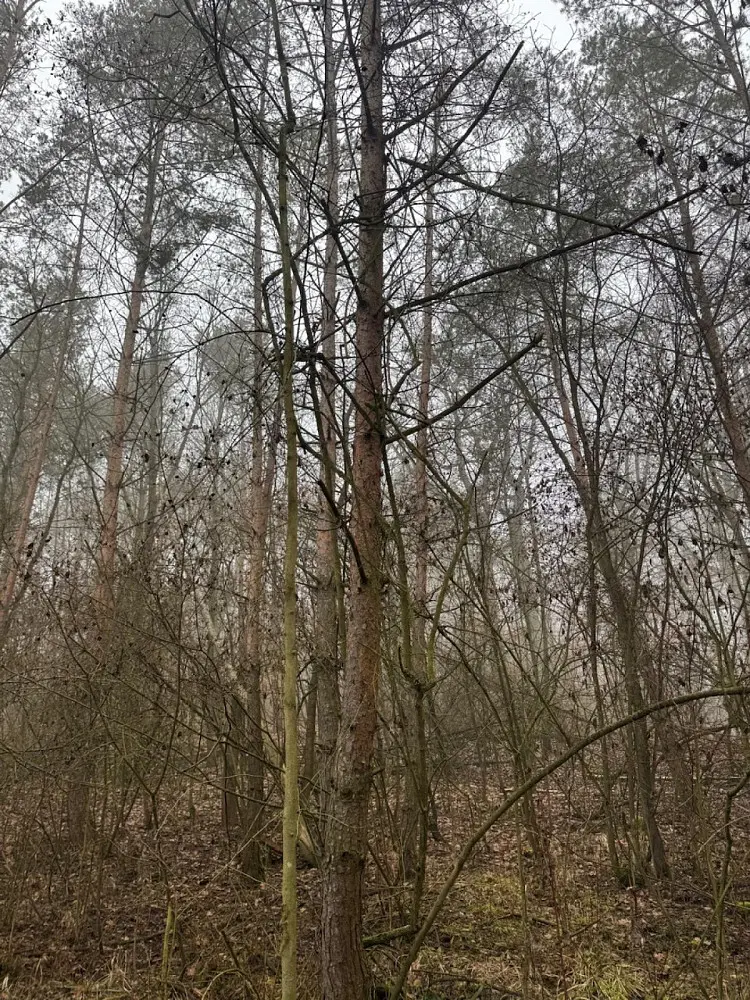 Prodej pozemku 854 m², Chotiněves - Buč