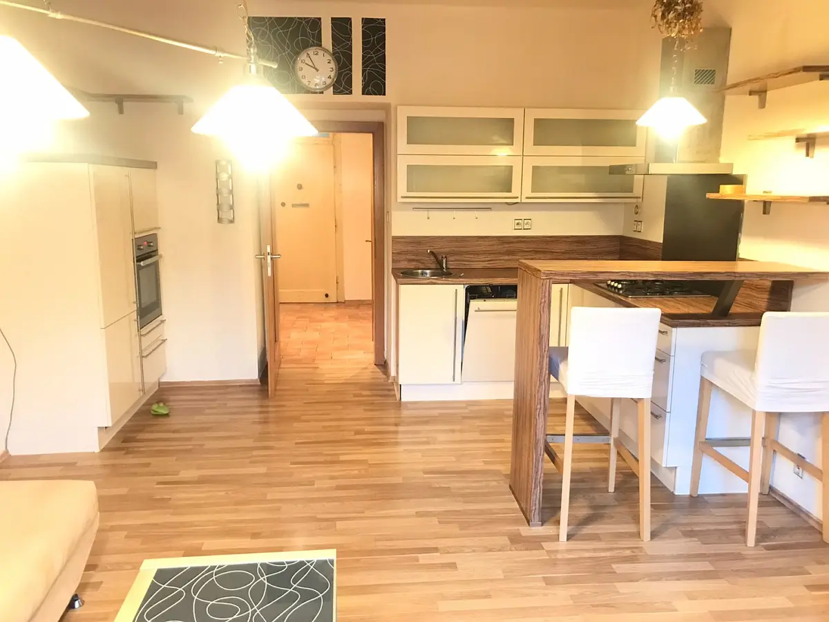 Pronájem bytu 1+kk 33 m², Plzeň