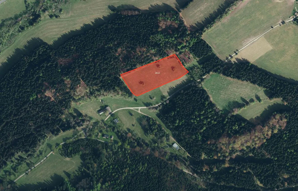Prodej pozemku 14935 m², Branná u Šumperka · Branná