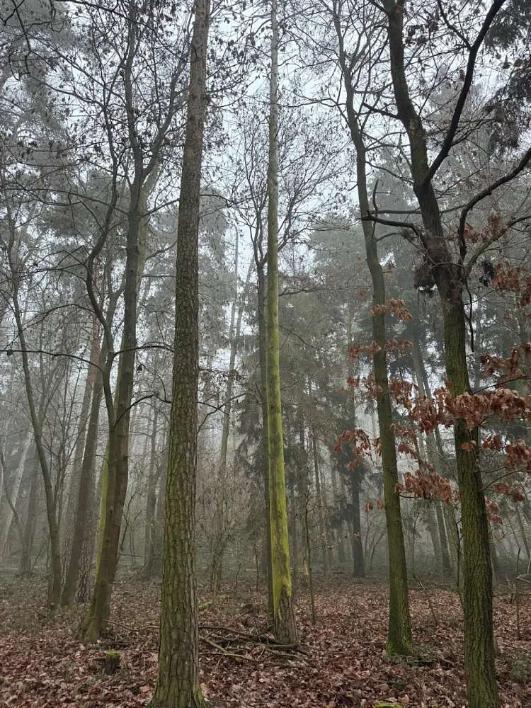 Prodej pozemku 759 m², Hradiště - Nýřany