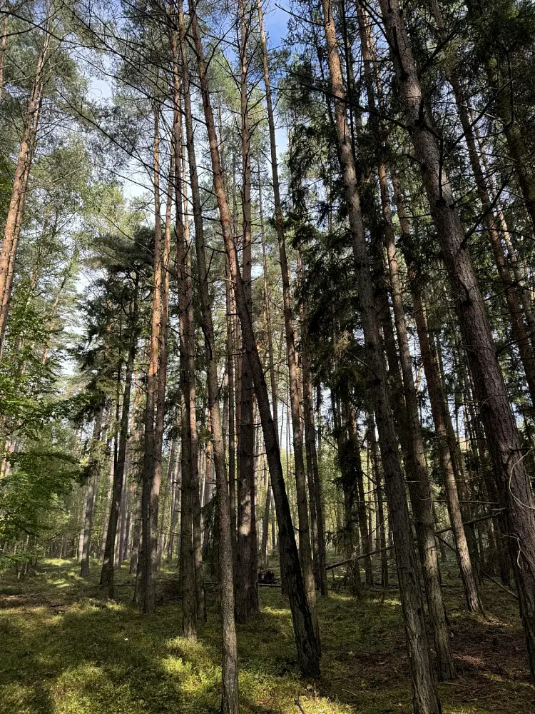 Prodej pozemku 955 m², Dolany - Nýřany