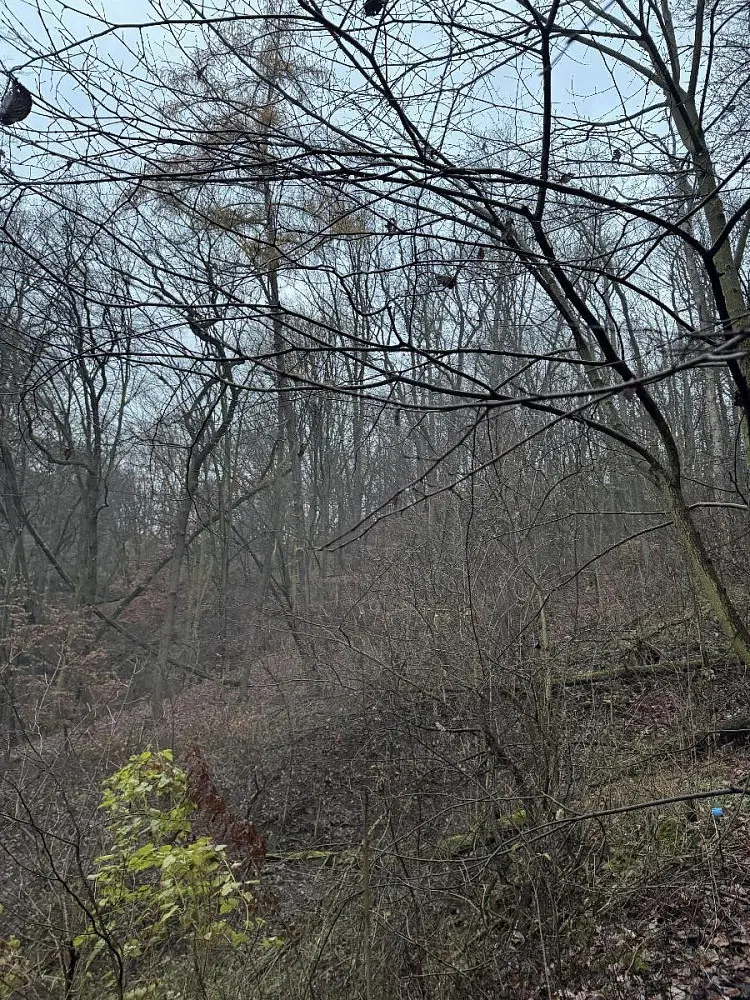 Prodej pozemku 184 m², Chuderov - Nýřany