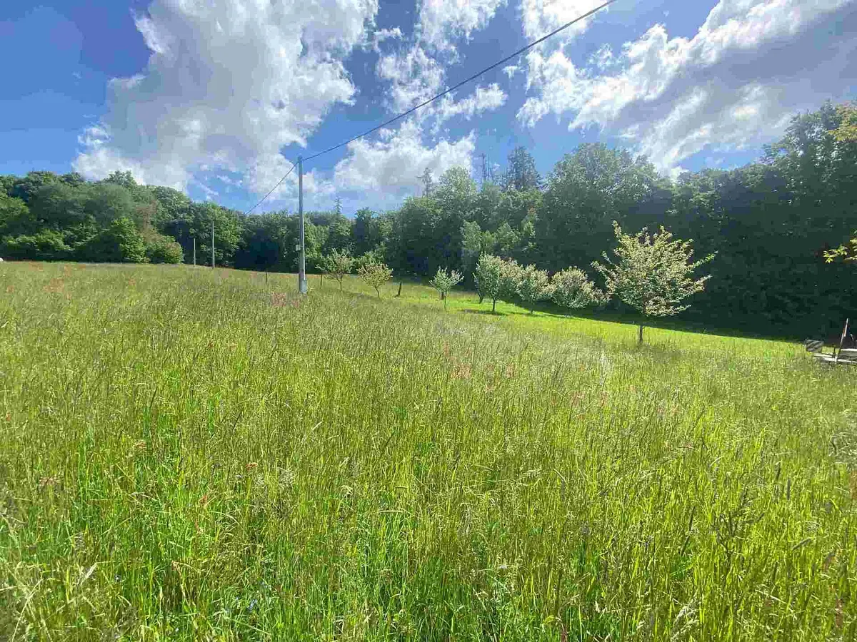 Prodej pozemku 574 m², Odry · okres Nový Jičín