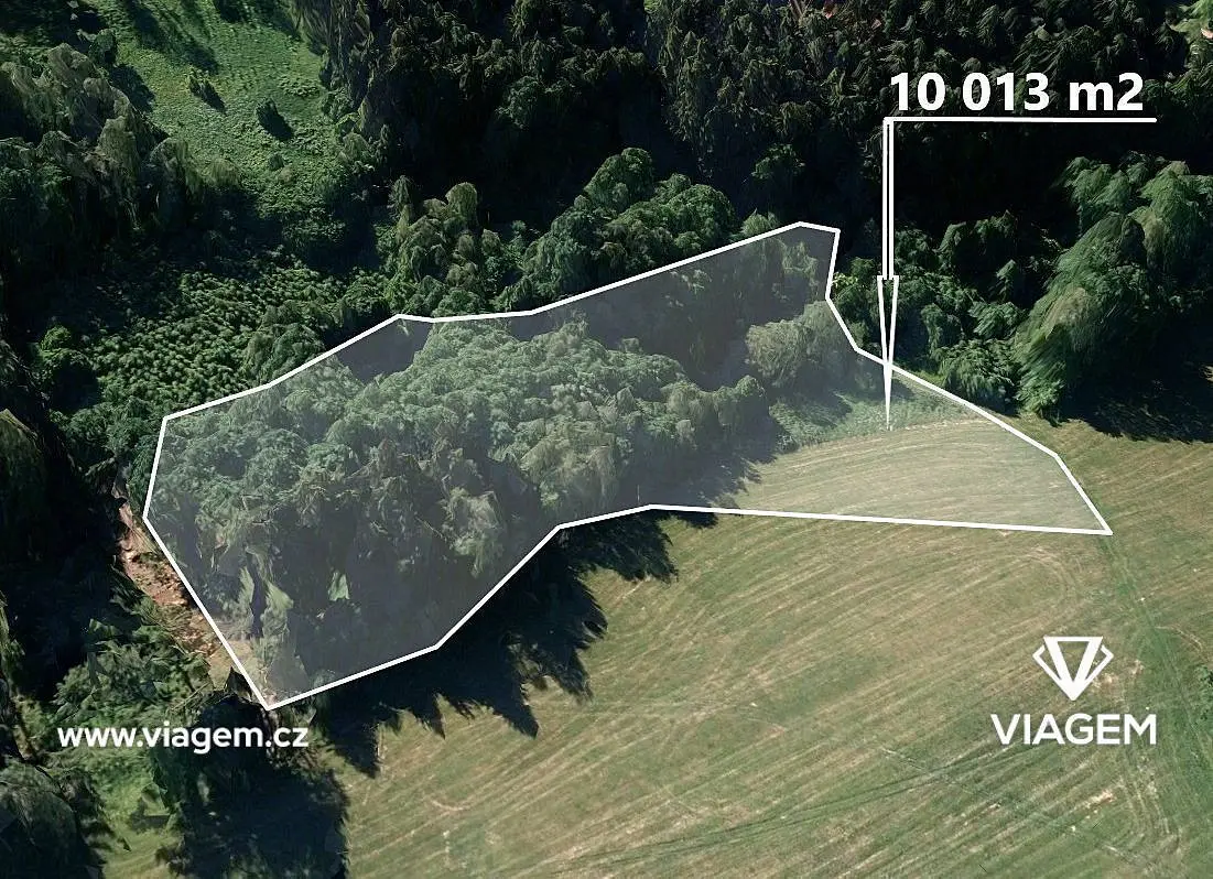 Prodej pozemku 2503 m², Kaliště · okres Pelhřimov