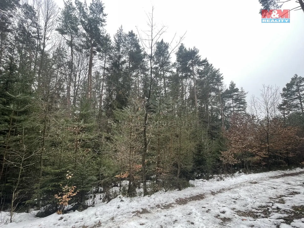 Prodej pozemku 12219 m², Záhoří - Smrčí · okres Semily