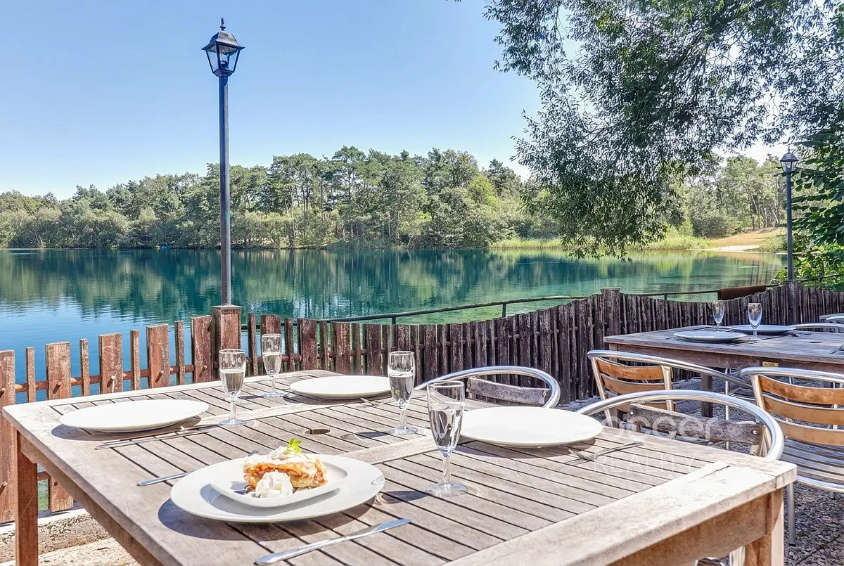 Prodej komerčního prostoru 1150 m², Patřín · Loučeň