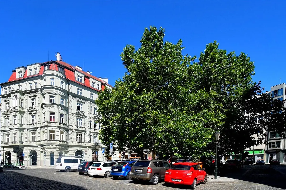 Pronájem bytu 1+1 37 m², Soukenická · Nové Město