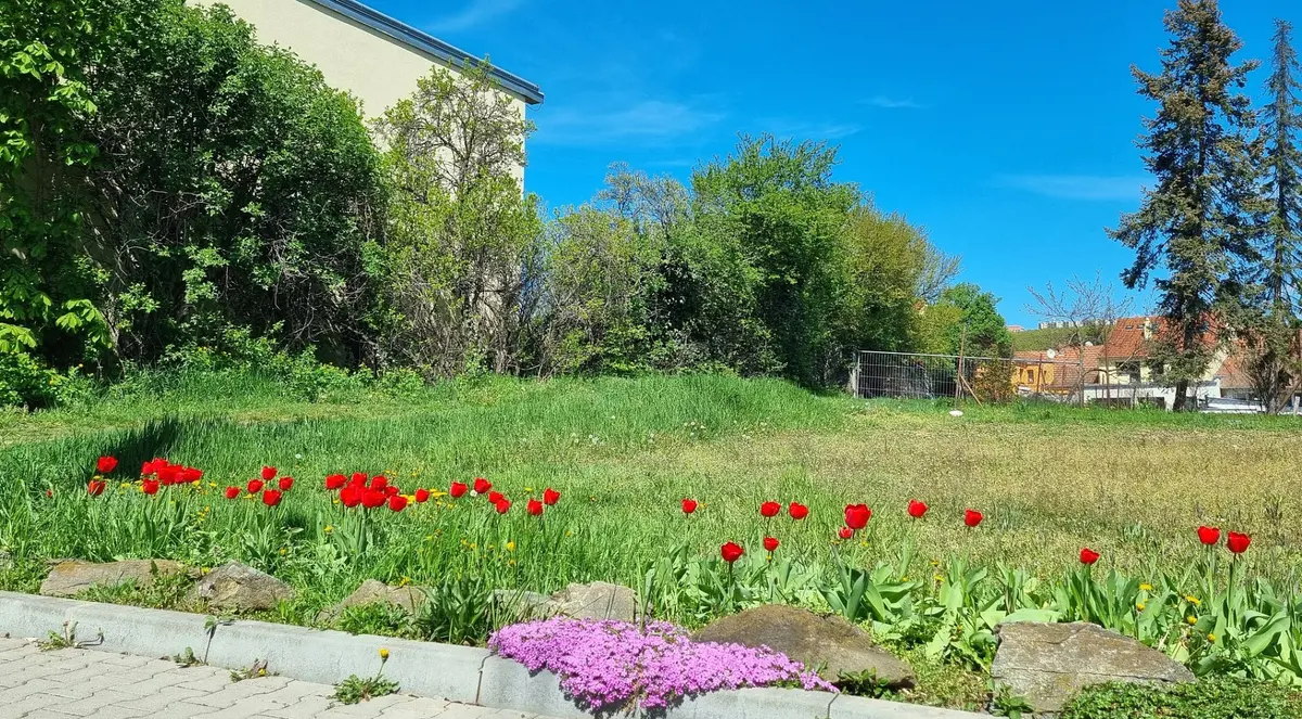 Prodej pozemku 471 m², Padělíky · Bosonohy · Brno