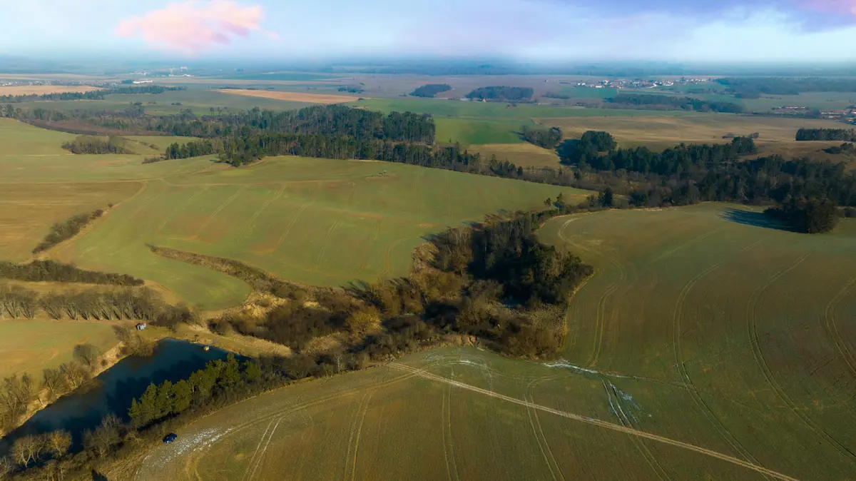 Prodej pozemku 77000 m², Pavlice