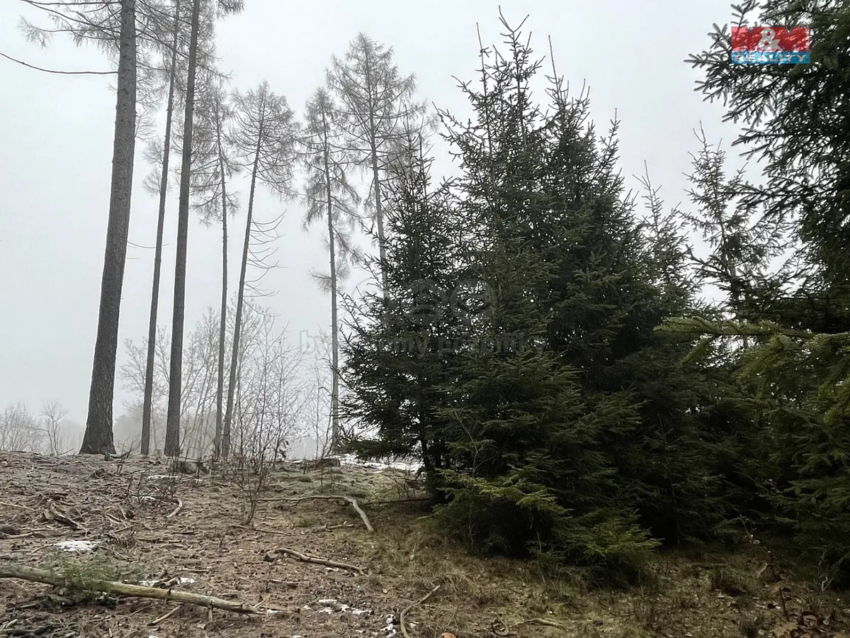 Prodej pozemku 30934 m², Ratibořské Hory - Vřesce · okres Tábor