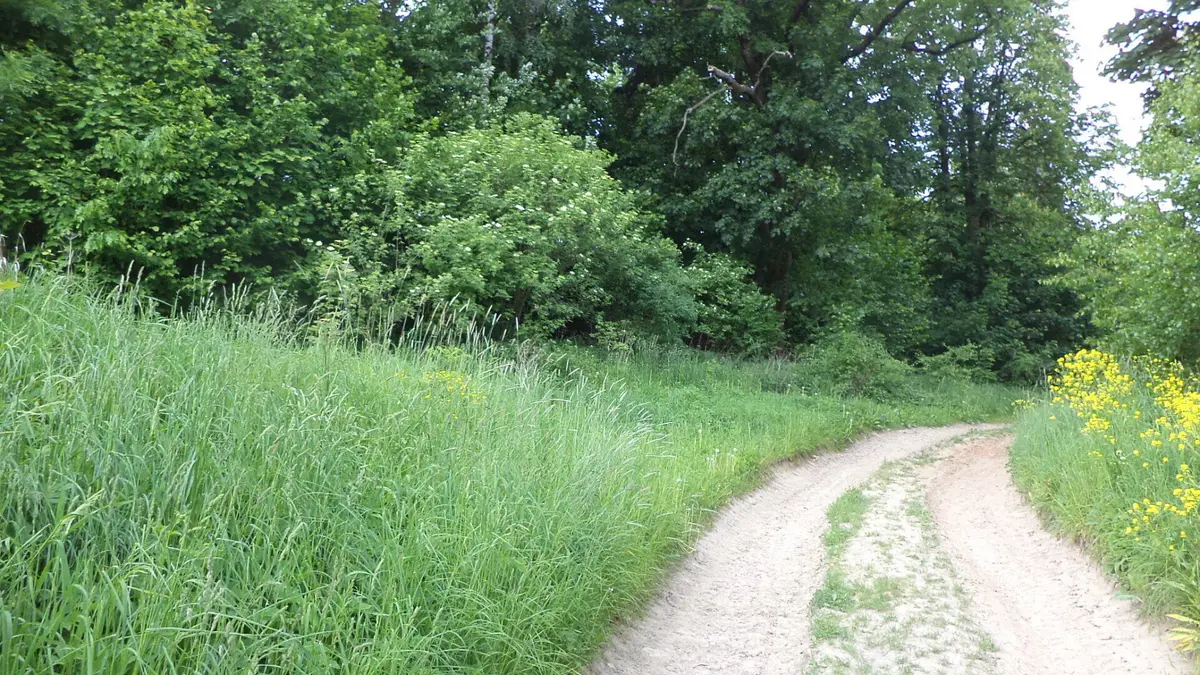 Prodej pozemku 1135 m², Horní Hynčina · Pohledy
