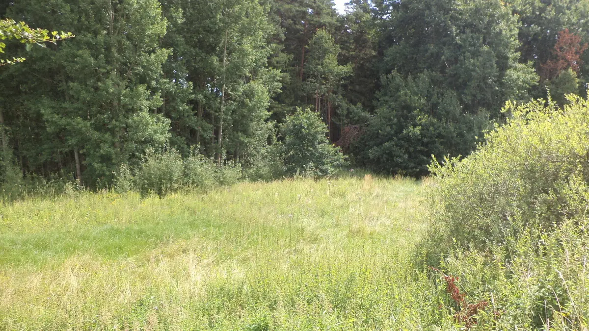 Prodej pozemku 2441 m², Nahý Újezdec · Chodský Újezd