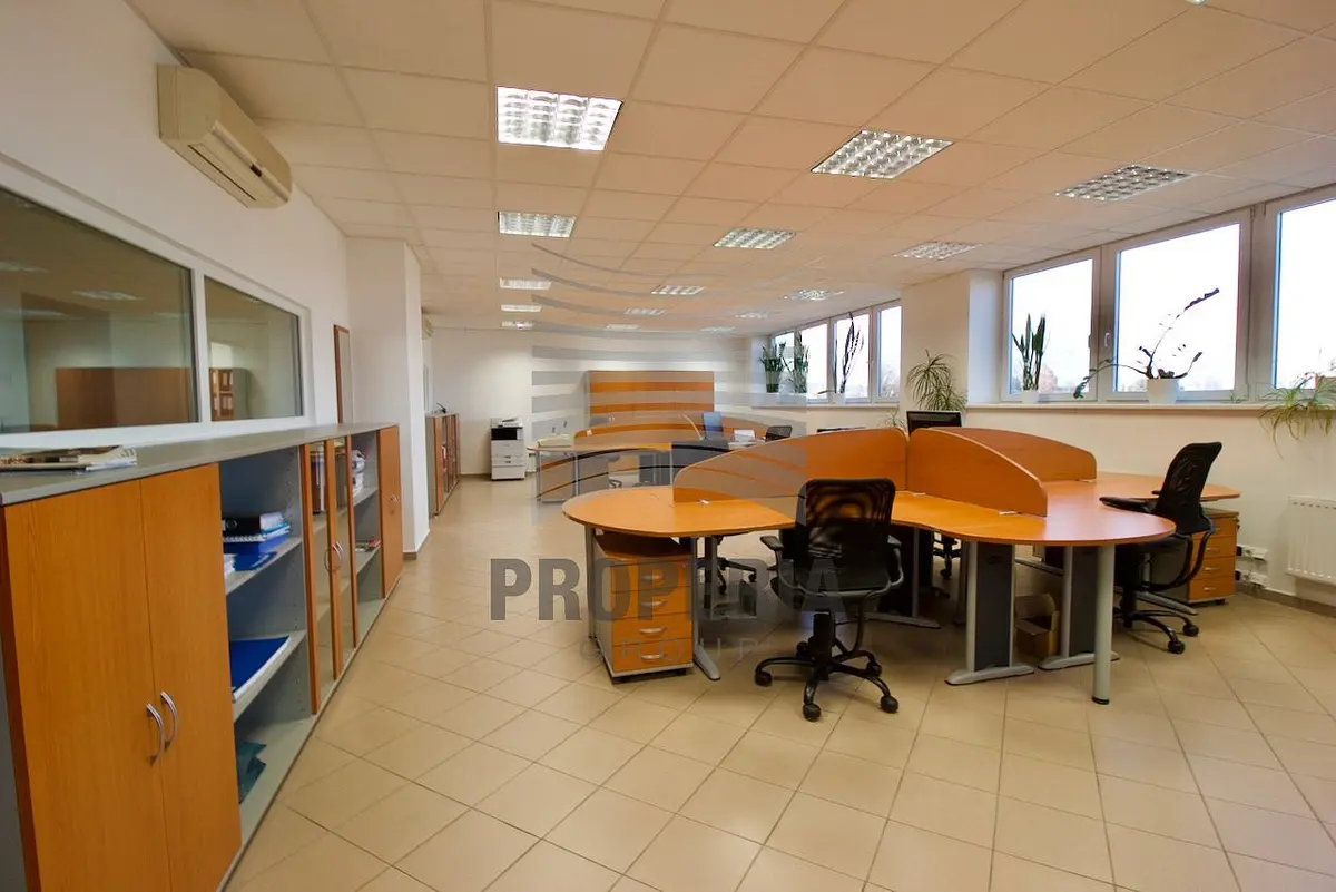 Pronájem komerčního prostoru 290 m², Sokolova · Horní Heršpice · Brno