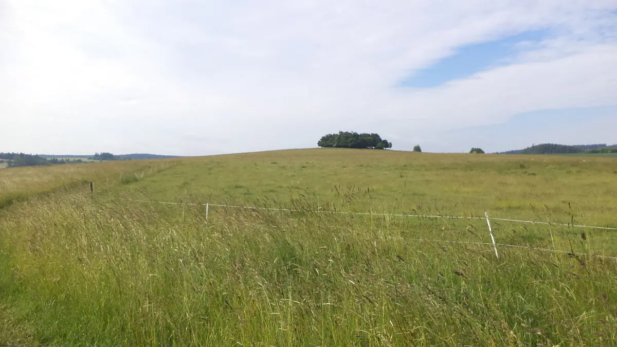 Prodej pozemku 4031 m², Horní Štěpánov · okres Prostějov
