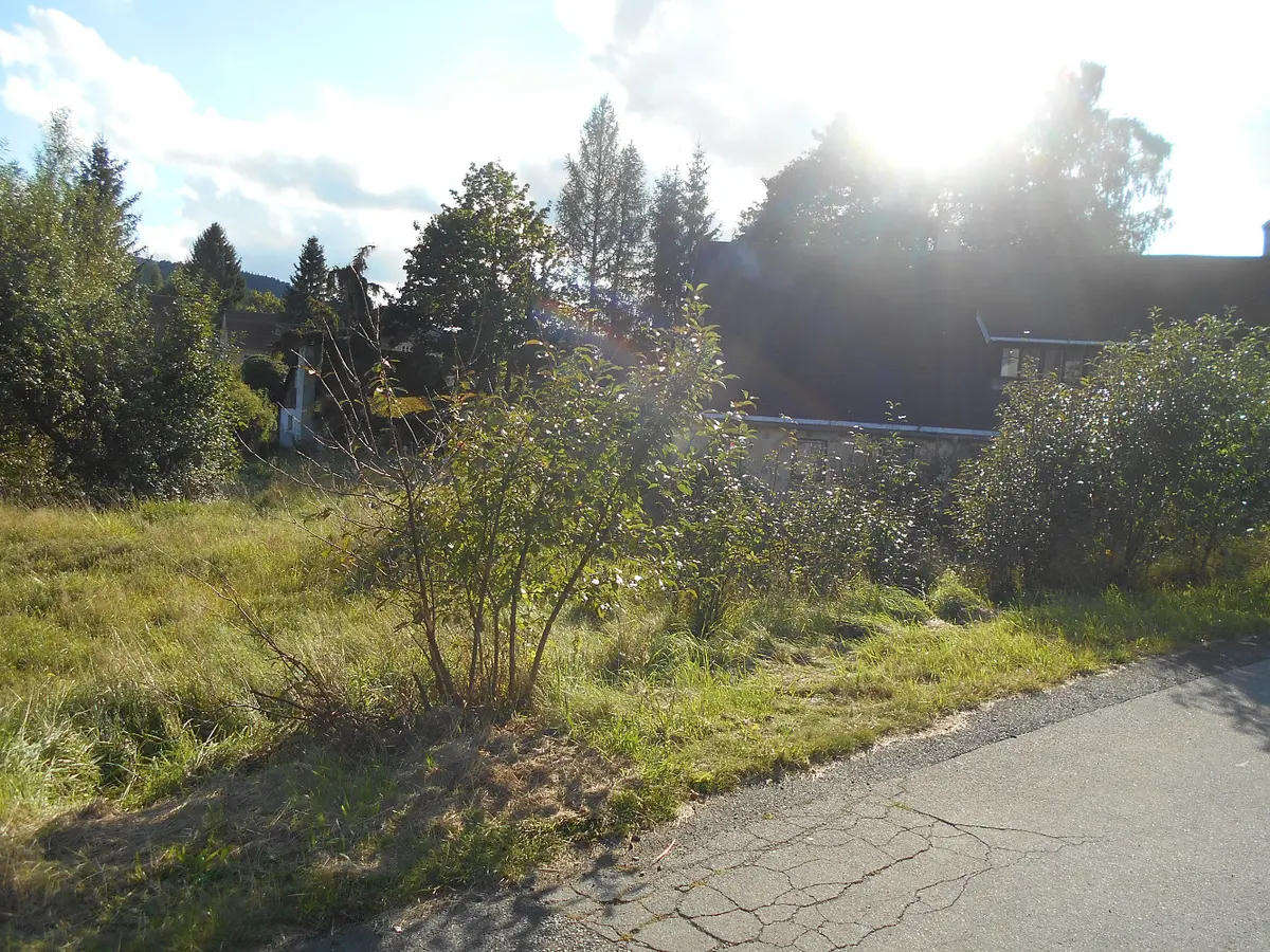 Prodej pozemku 980 m², Dolní Podluží · okres Děčín