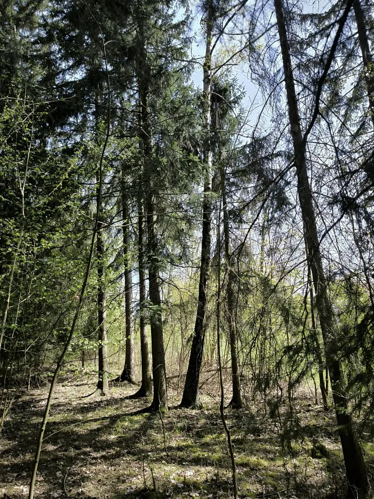 Prodej pozemku 2671 m², Benešov u Semil - Dražeň