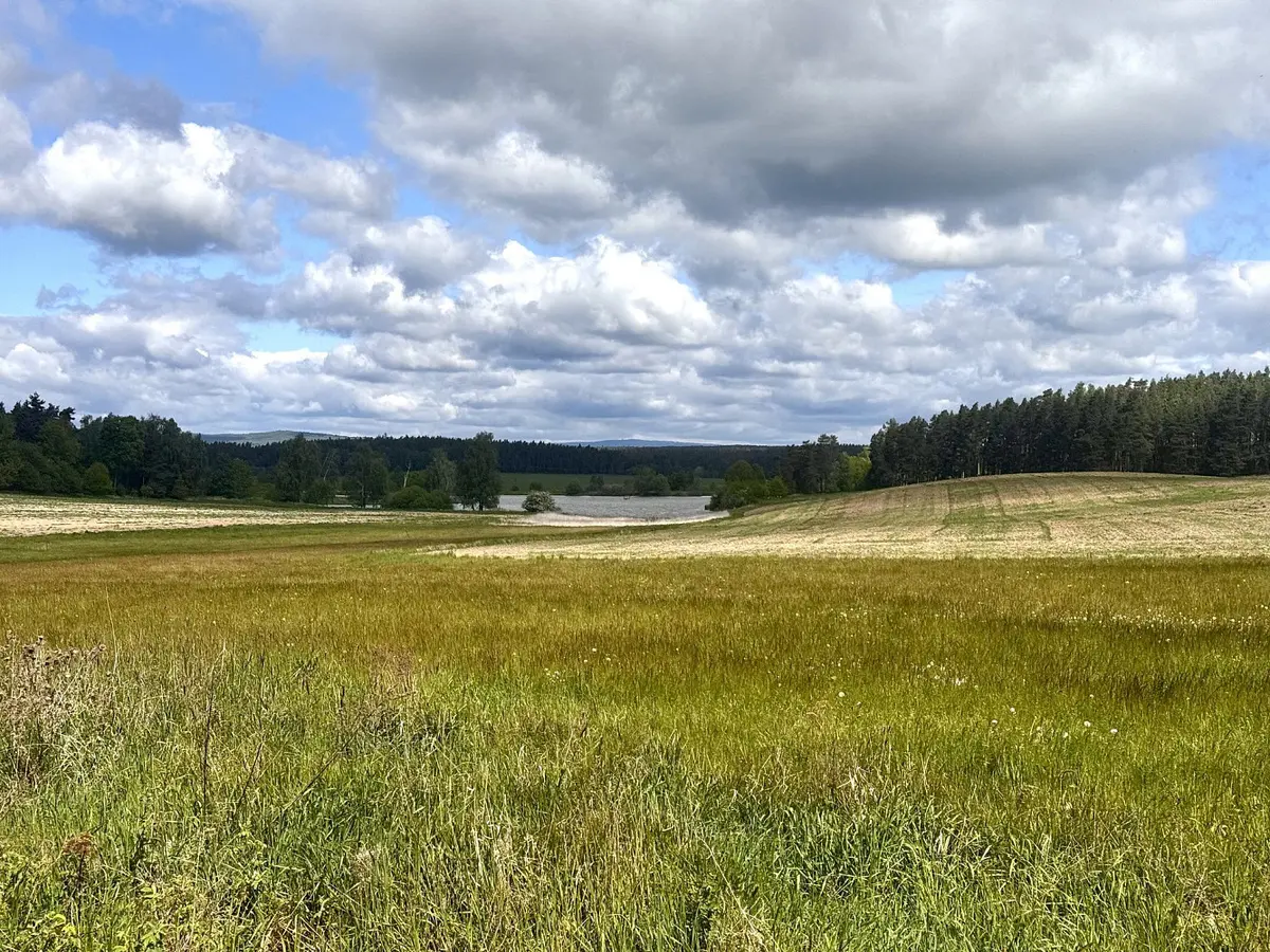Prodej pozemku 220644 m², Tisová - Kumpolec · okres Tachov