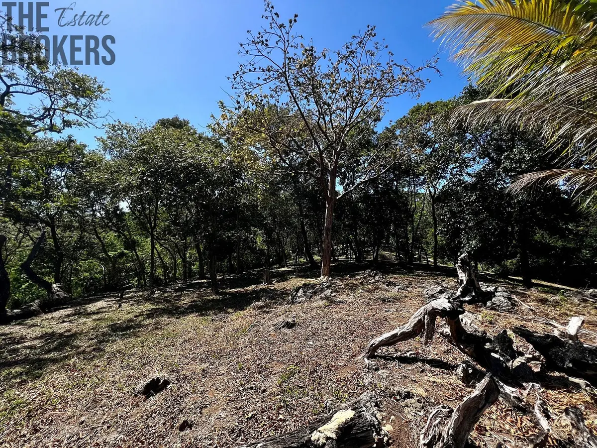 Prodej pozemku 2400 m², Coxen Hole · Roatán Honduras