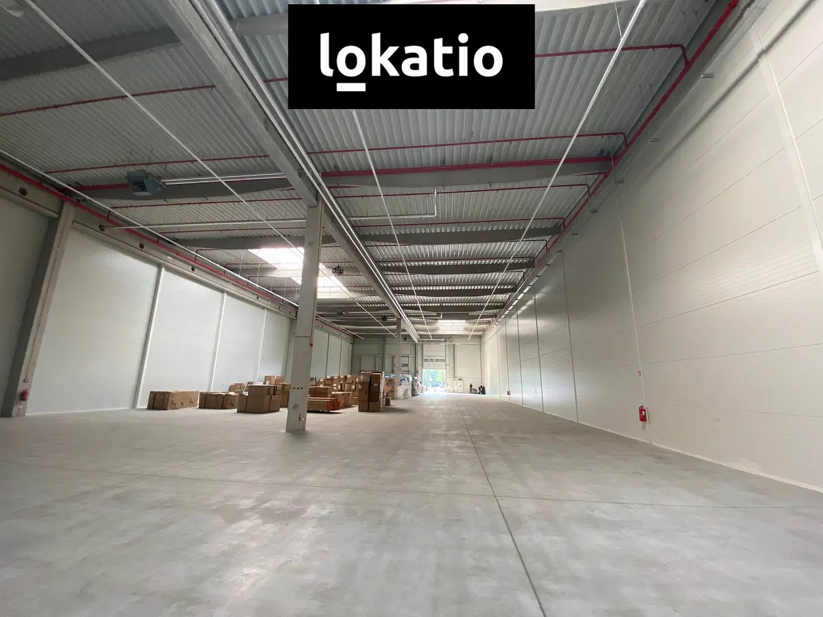 Pronájem komerčního prostoru 1589 m², Ostrava