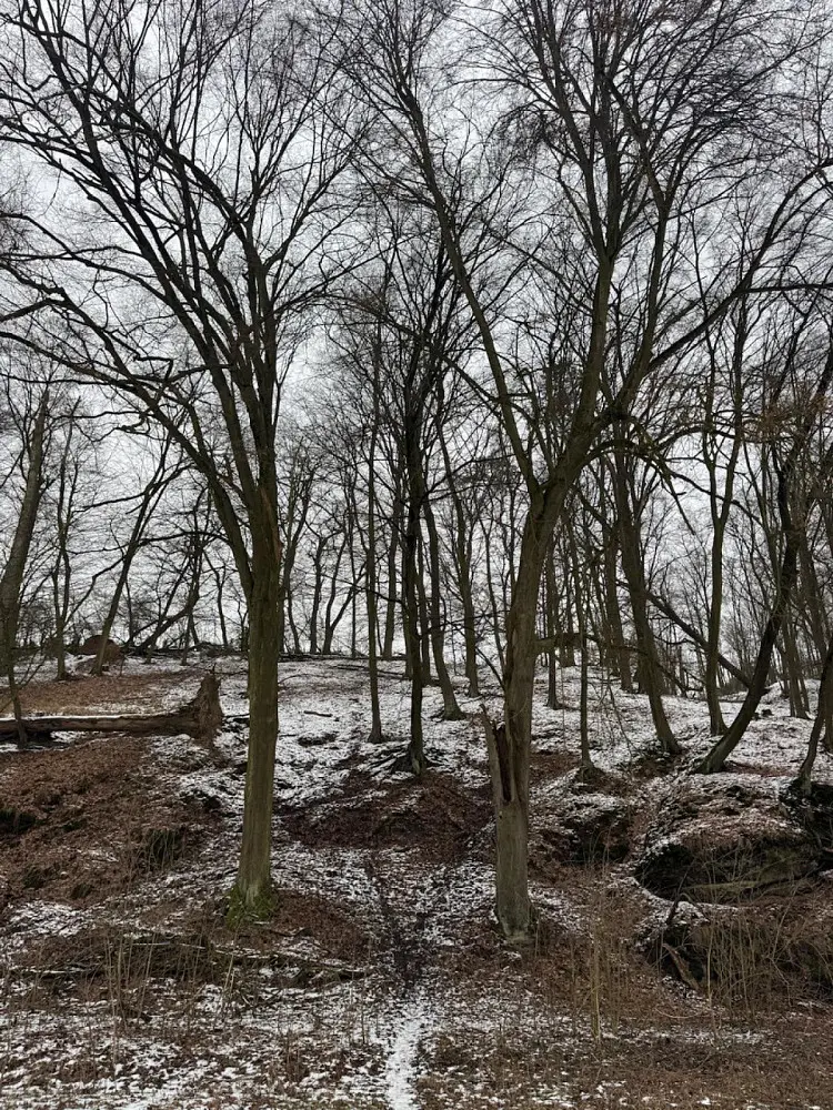 Prodej pozemku 445 m², Dolní Zimoř - Drnovice