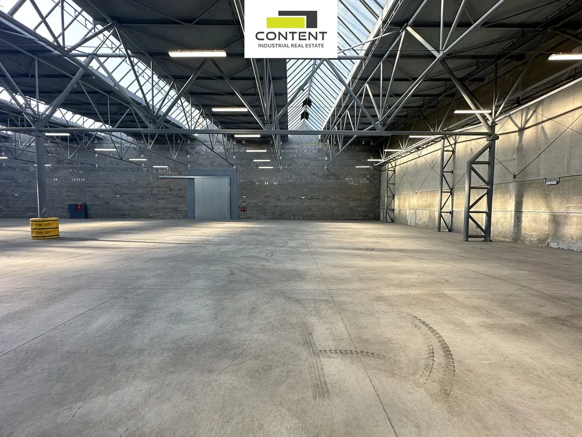 Pronájem komerčního prostoru 2000 m², Purkyněho · Žatec