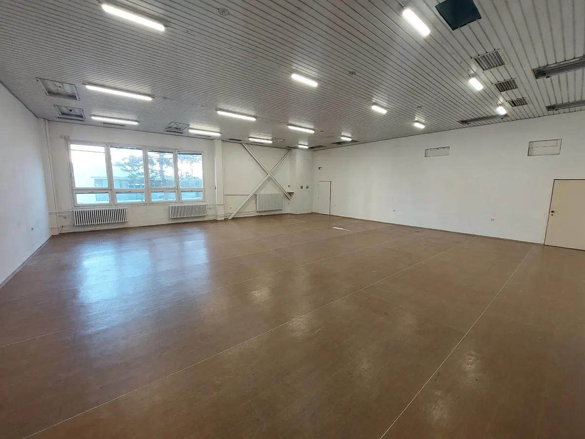 Pronájem komerčního prostoru 147 m², Hodonín · okres Chrudim