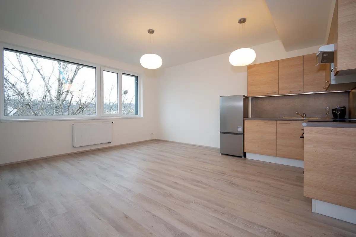 Pronájem bytu 2+kk 43 m², Jankovcova · Holešovice