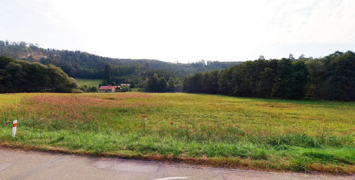 Prodej pozemku 8835 m², Březina u Moravské Třebové · Březina