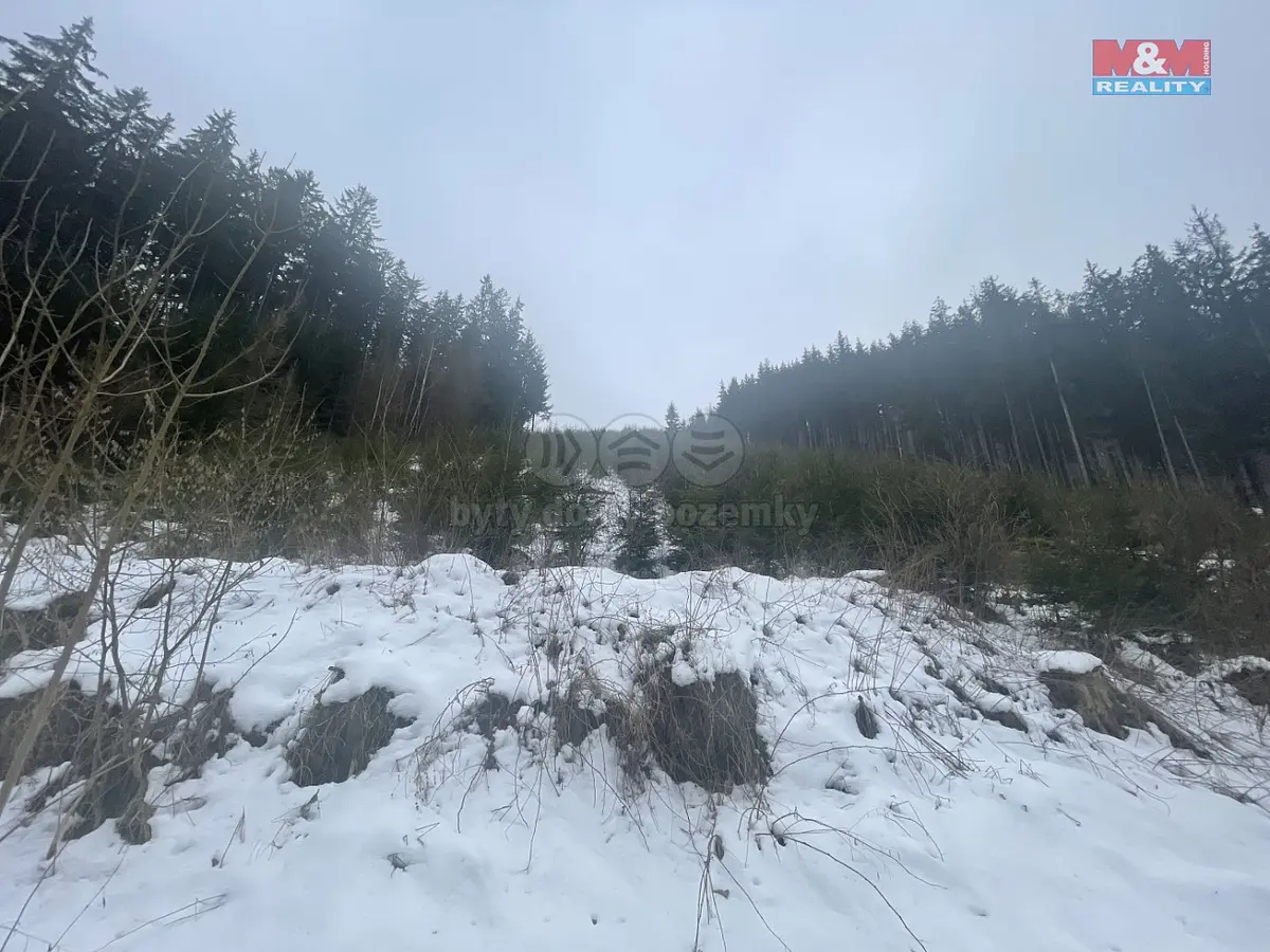 Prodej pozemku 70240 m², Bozkov · okres Semily