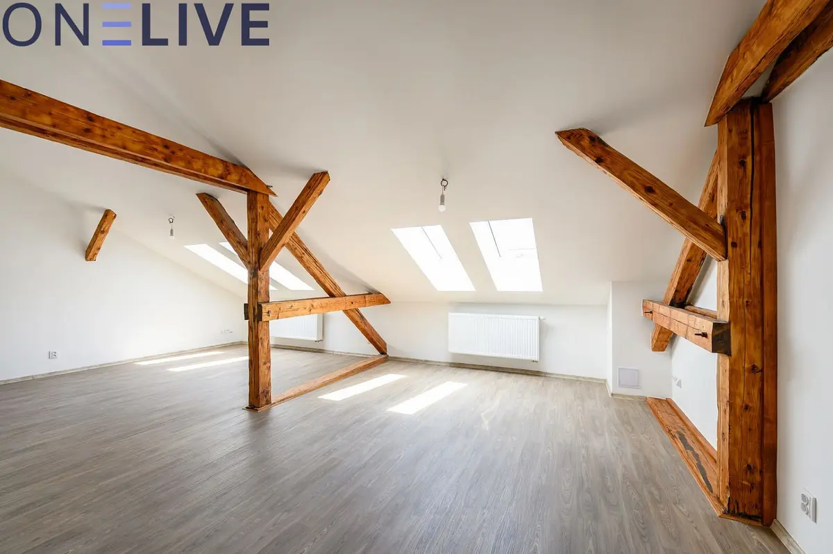 Pronájem bytu 3+1 105 m², Plachého · Plzeň