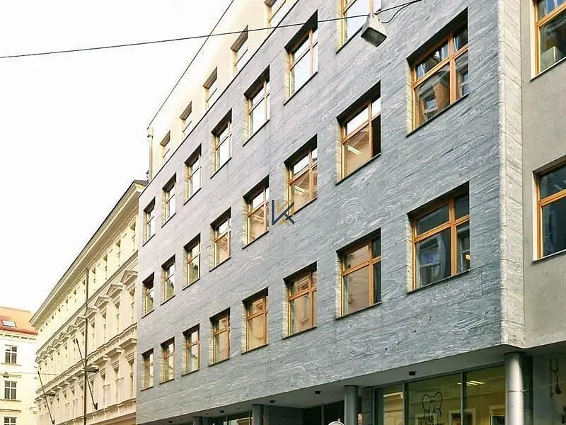 Pronájem komerčního prostoru 21 m², Olivova · Nové Město