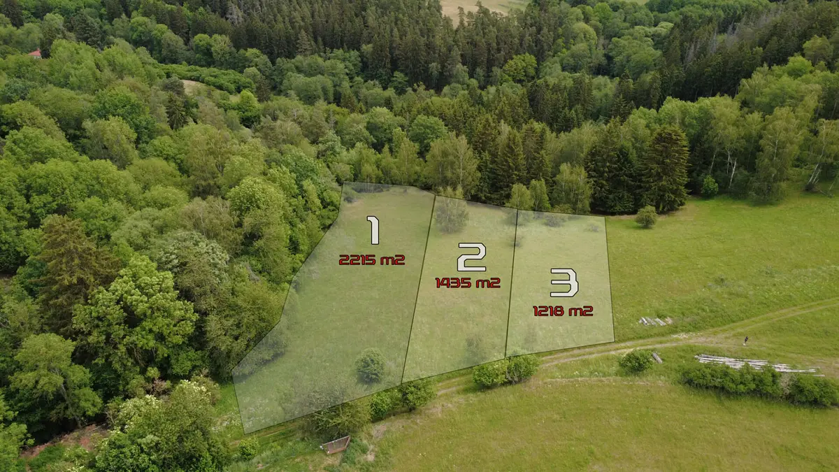 Prodej pozemku 435 m², Planá - Křínov · okres Tachov