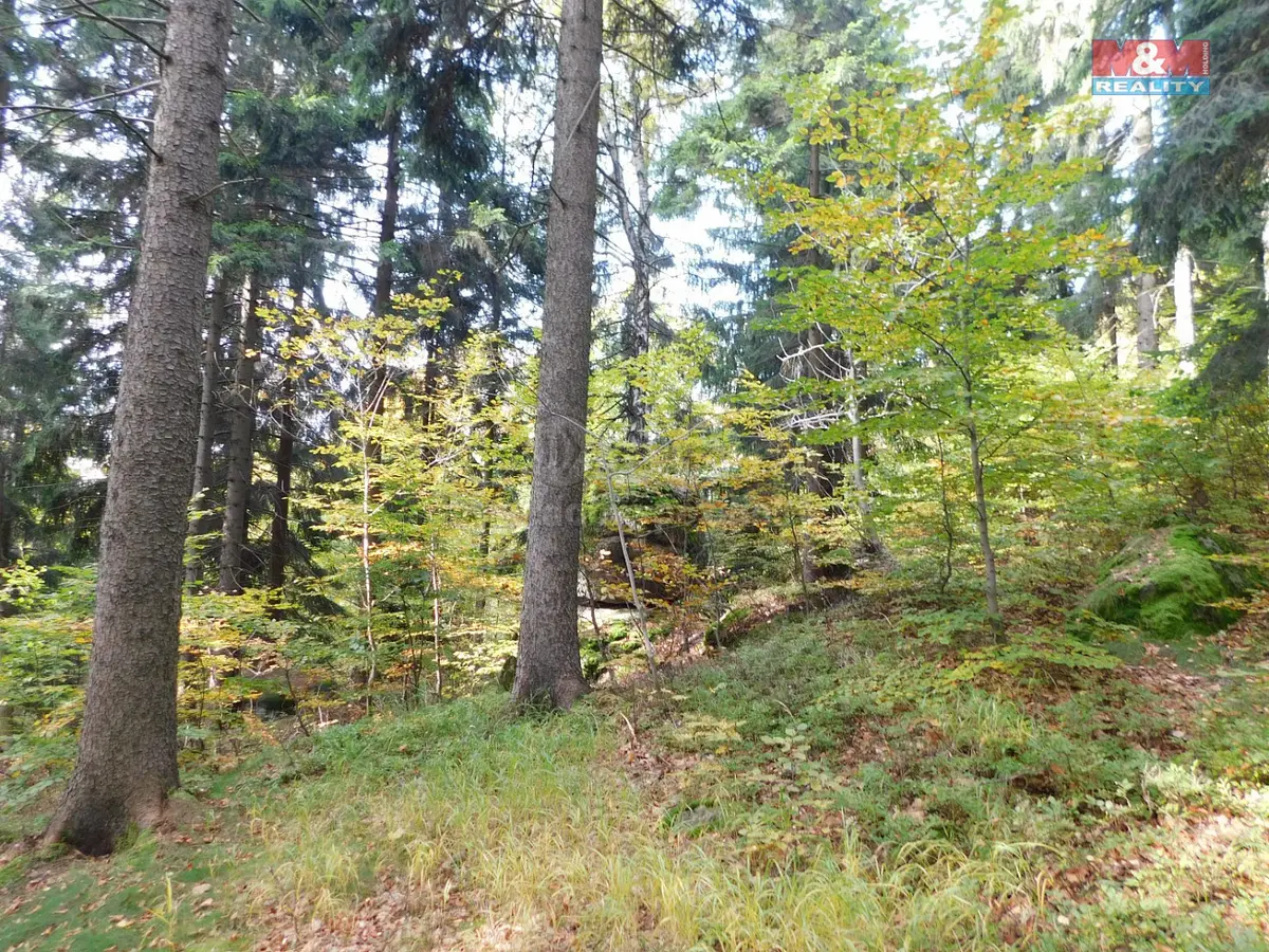 Prodej pozemku 588 m², Lučany nad Nisou · okres Jablonec nad Nisou