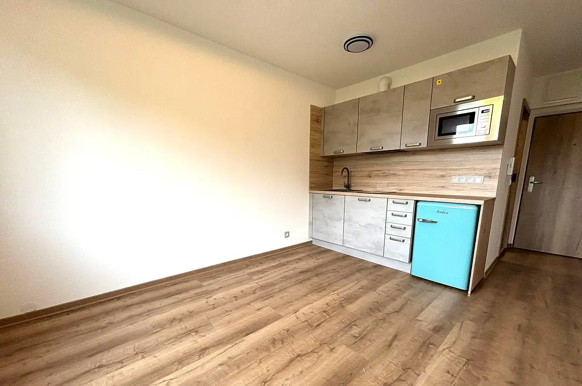 Pronájem bytu 1+kk 20 m², Dolní Bělá · okres Plzeň-sever