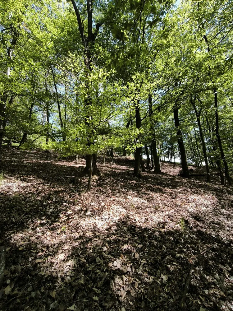 Prodej pozemku 410 m², Lesnice - Drnovice
