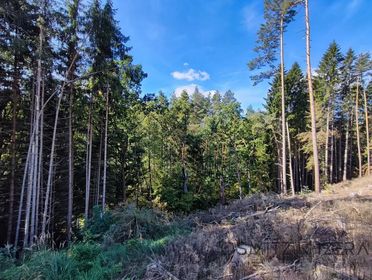 Prodej pozemku 233155 m², Žďár · okres Jindřichův Hradec