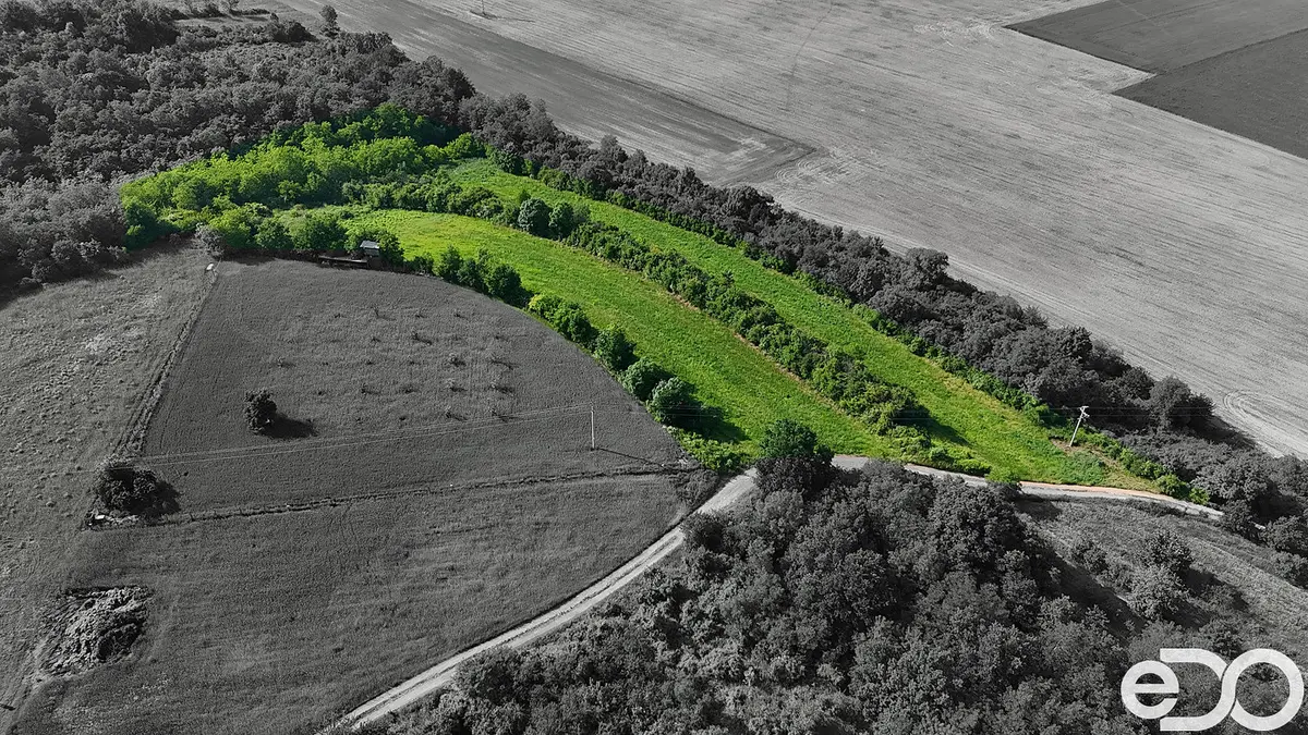 Prodej pozemku 14560 m², Bechlín · okres Litoměřice