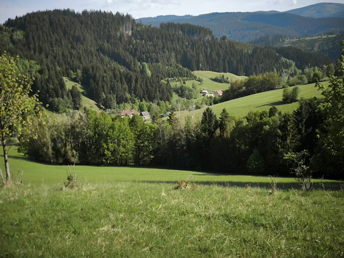 Prodej pozemku 6375 m², Velké Karlovice - Olšany