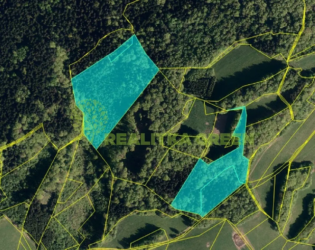 Prodej pozemku 36934 m², Pozděchov