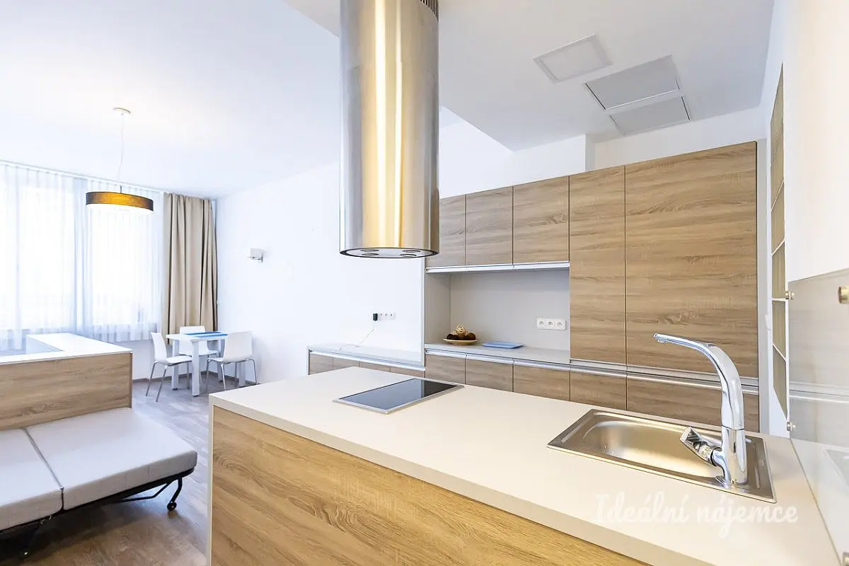 Pronájem bytu 1+kk 38 m², U půjčovny · Nové Město