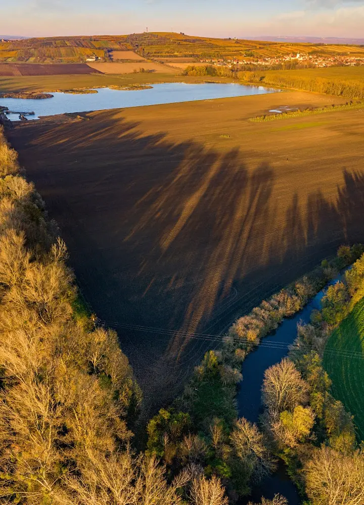 Prodej pozemku 9753 m², Zaječí · okres Břeclav