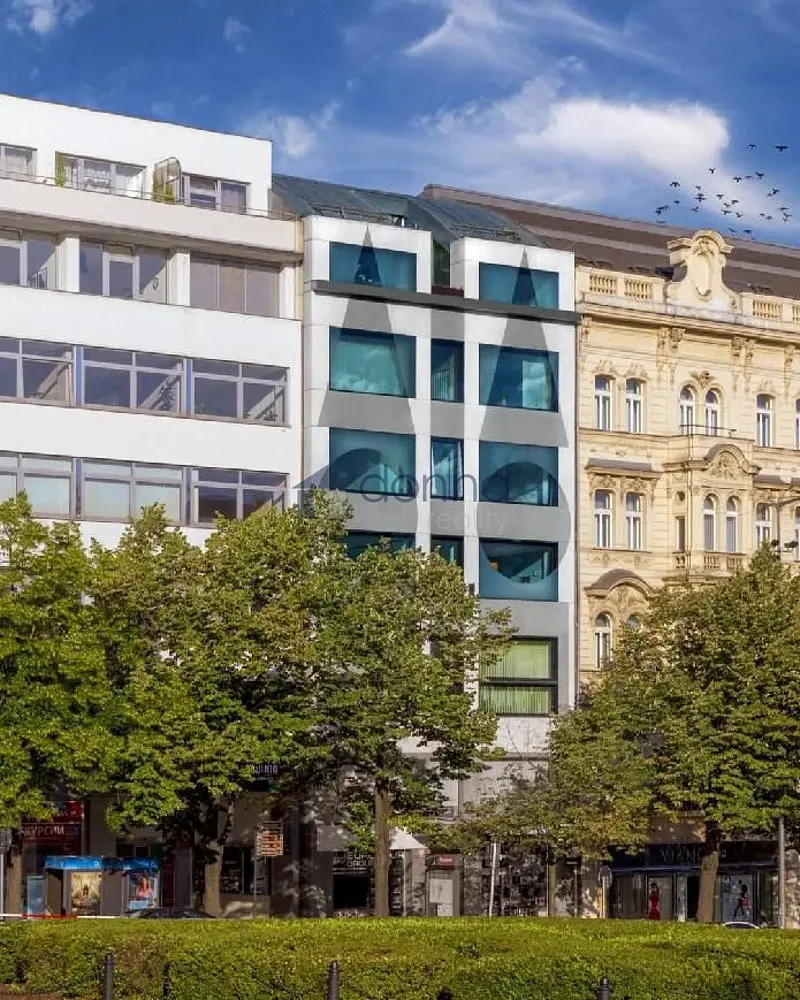 Pronájem komerčního prostoru 326 m², Nové Město