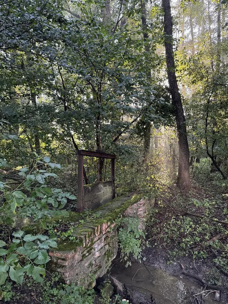 Prodej pozemku 784 m², Vršovka - Dobříč