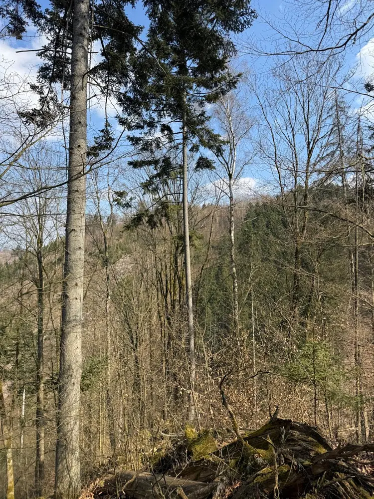 Prodej pozemku 530 m², Záhoří - Vlkošov