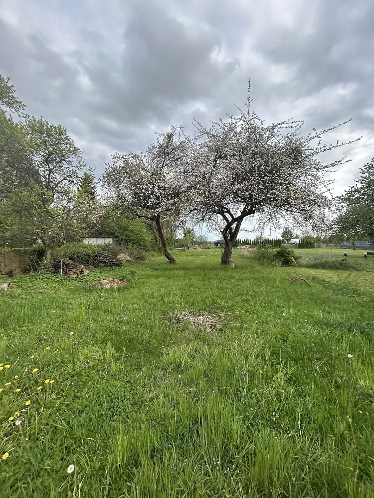 Prodej chaty / chalupy 874 m², Svitavy