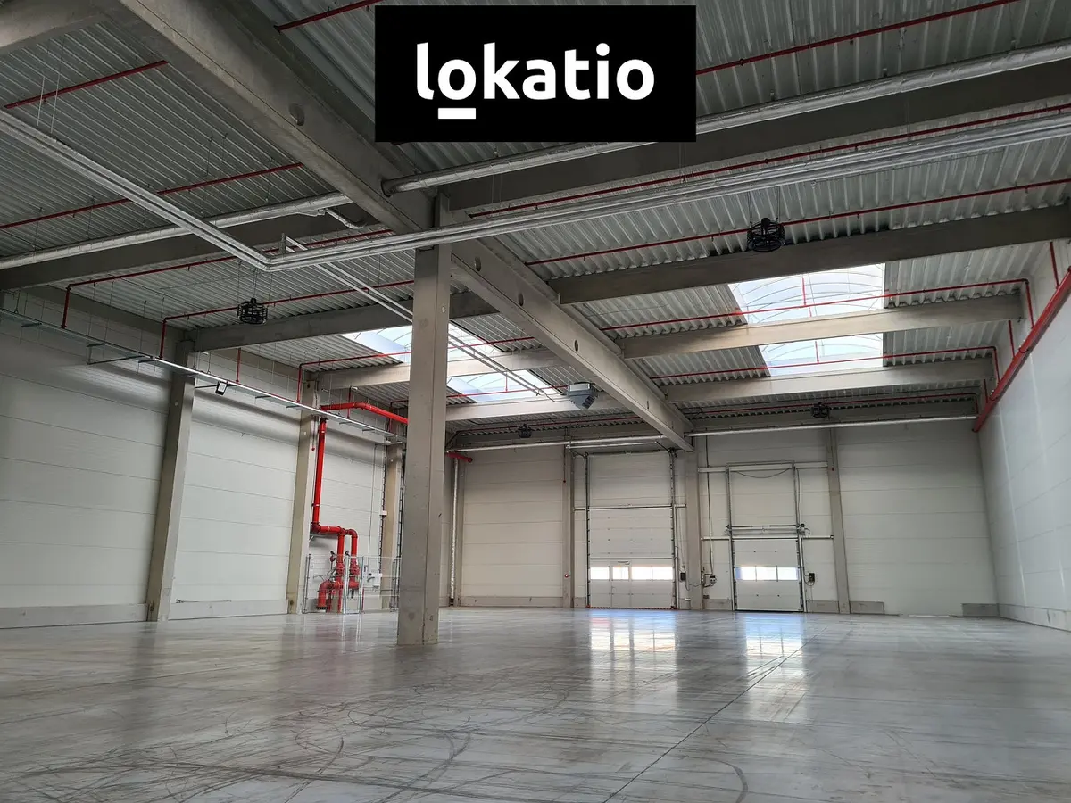 Pronájem komerčního prostoru 1168 m², Ostrava